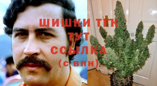 ПСИЛОЦИБИНОВЫЕ ГРИБЫ Наволоки