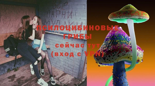 ПСИЛОЦИБИНОВЫЕ ГРИБЫ Наволоки
