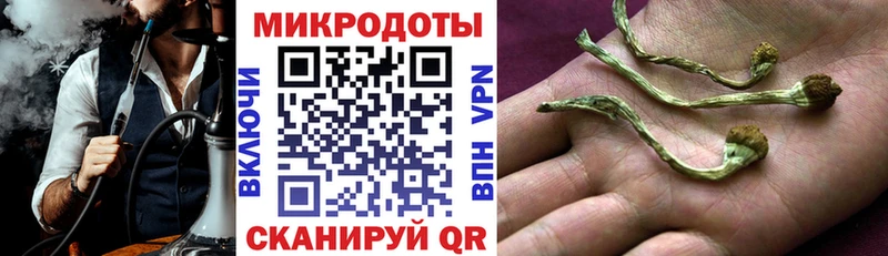 Купить  Лесозаводск  Псилоцибиновые грибы Cubensis 