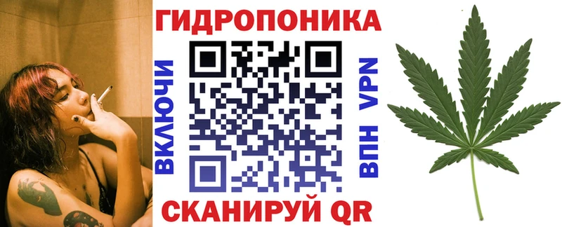 Шишки марихуана план Купить Лесозаводск
